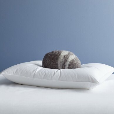 Žąsų pūkinė pagalvė su tiku (90%-pūkų, 10%-plunksnų) EXCLUSIVE ULTRA , 50x60 cm 2